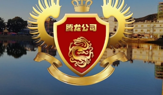 腾龙公司｜专注企业综合服务，助力中小企业稳健发展