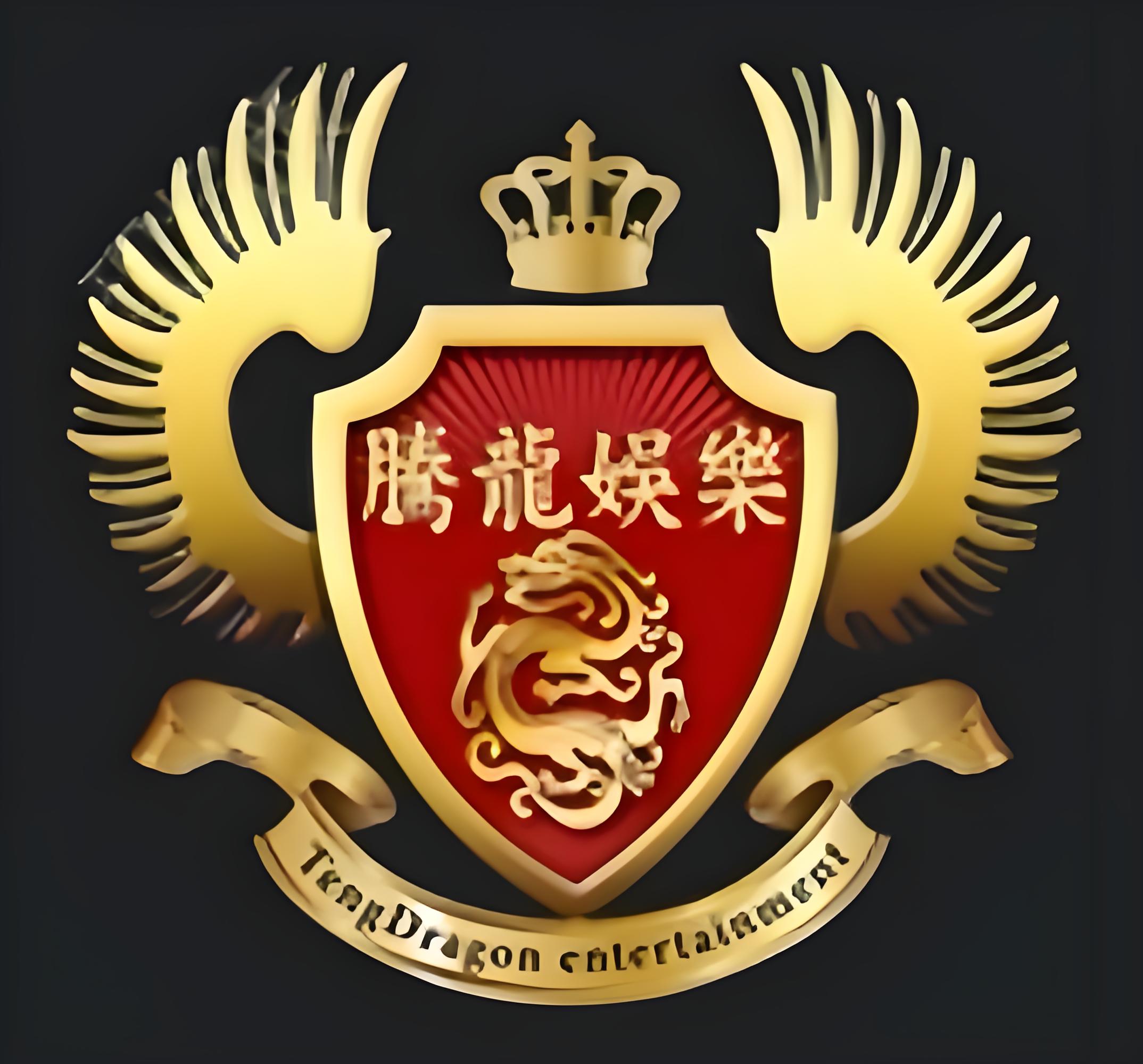 腾龙公司简介